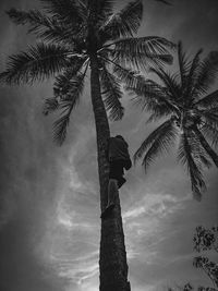 Low angle view of palm tree against sky