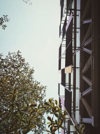 Low angle view of tree and building against sky