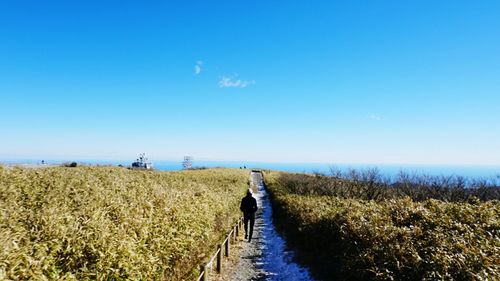 Scenic view of blue sea against sky