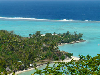 Scenic view of sea