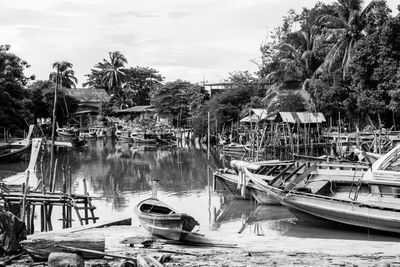 Boats moored at harbor against sky