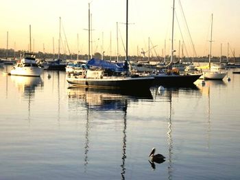 Boats moored in harbor