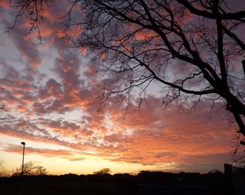 Low angle view of silhouette trees against dramatic sky