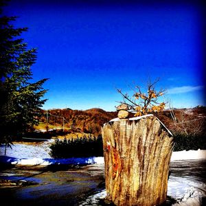 Wooden post in lake against clear blue sky