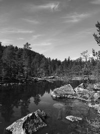 Scenic view of lake in forest against sky