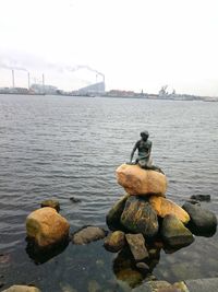 View of bird perching on harbor in city against sky