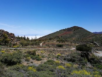 Scenic view of field against clear blue sky