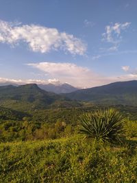 Scenic view of landscape against sky