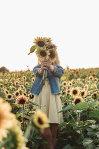 Low angle view of sunflower on field against clear sky