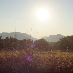 Scenic view of landscape against sky