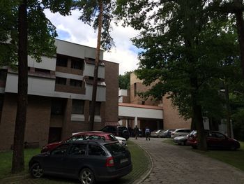 Cars parked on road