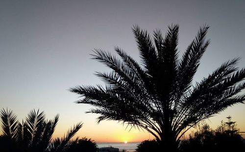 Silhouette palm trees against sky during sunset