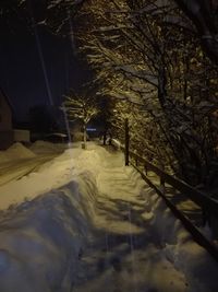 Snow covered footpath by trees at night