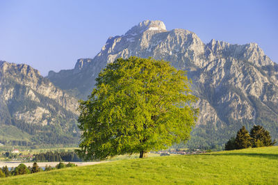 Scenic view of trees and mountains against sky