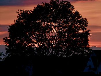 Silhouette tree against sky during sunset