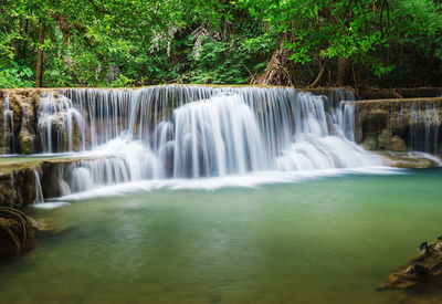 Scenic view of waterfall in forest