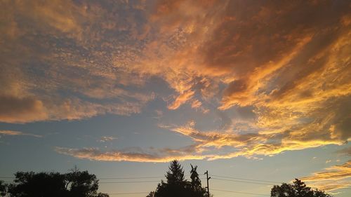 Low angle view of silhouette trees against sky at sunset