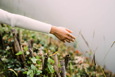 Midsection of woman hand on field