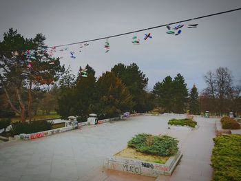 Multi colored flags hanging on tree in city against sky