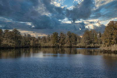 Scenic view of lake by trees against sky