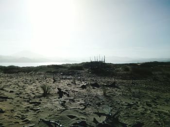 Scenic view of beach against clear sky