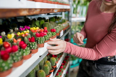 Female person choosing houseplants in garden centre. season gardening concept