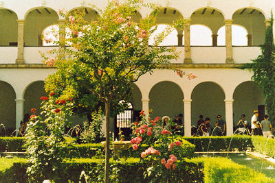 View of formal garden