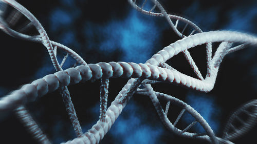 Close-up of rope tied to metal fence