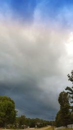 Low angle view of trees against sky