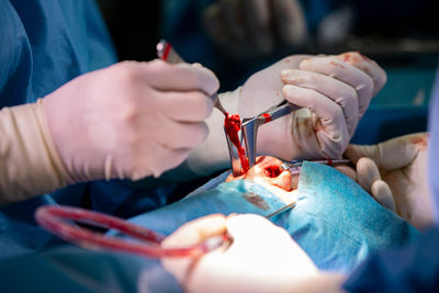 Close-up of hands working