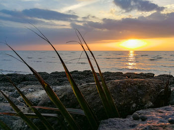 Scenic view of sea against sky during sunset