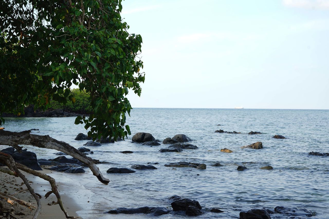 SCENIC VIEW OF ROCKS ON BEACH AGAINST SKY