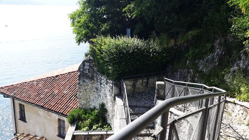 High angle view of tree by sea against sky