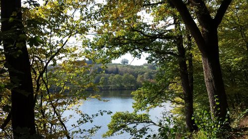 Scenic view of river