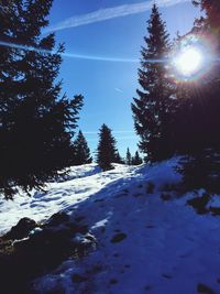 Scenic view of snow covered landscape