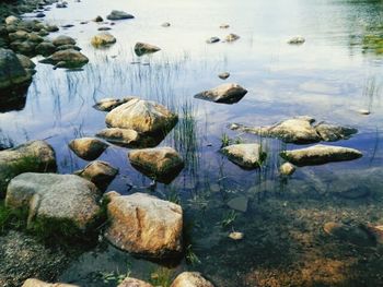 Rocks in lake