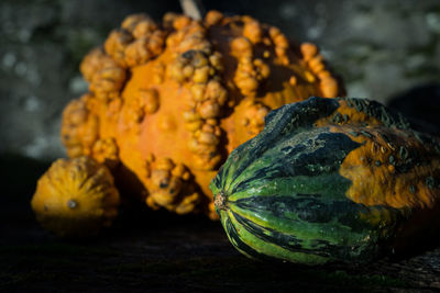 Close-up of pumpkin