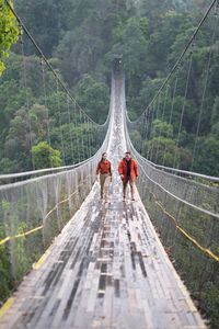 View of bridge