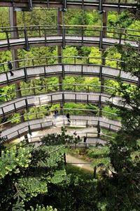 Plants and trees in park