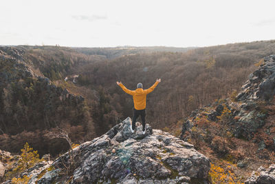 Rear view of man standing on rock against mountain