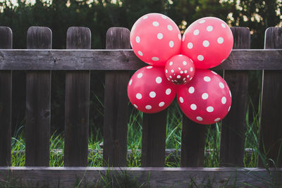 Close-up of pink and tree