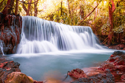 Scenic view of waterfall in forest