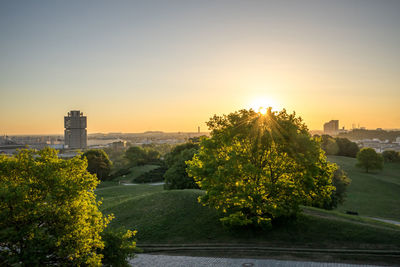 Trees and plants growing in city against sky during sunset