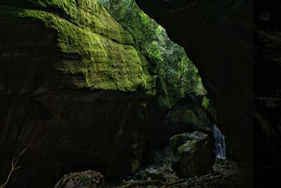 Rock formations in forest