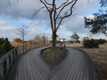 Footpath amidst trees against sky