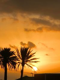 Silhouette palm trees against romantic sky at sunset