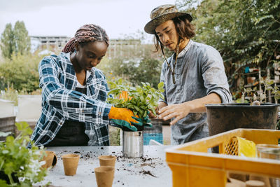 Male and female volunteers planting in community garden