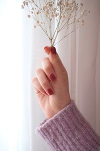 Cropped hand of woman holding plant