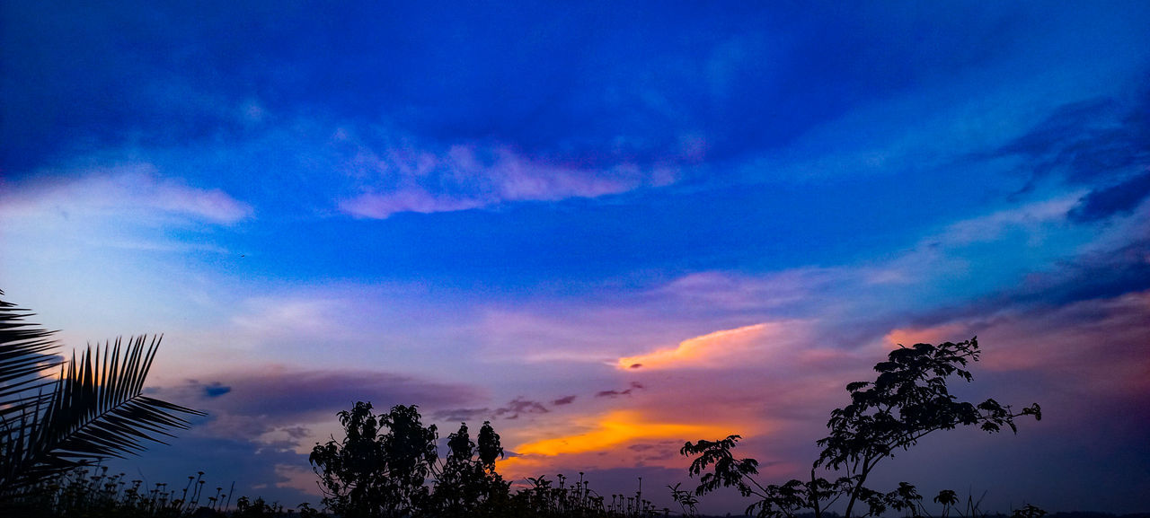 sky, tree, cloud, plant, beauty in nature, sunset, scenics - nature, dusk, nature, evening, silhouette, tranquility, horizon, tranquil scene, environment, afterglow, dramatic sky, palm tree, landscape, no people, tropical climate, blue, land, outdoors, idyllic, travel destinations, non-urban scene, cloudscape, multi colored, orange color