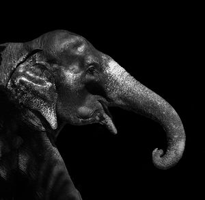 Close-up of shirtless man against black background